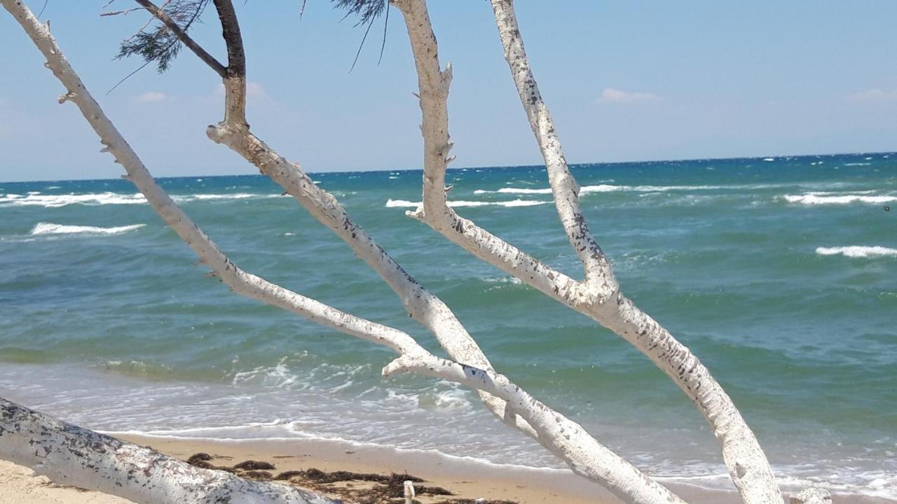 Perea White Suites Peraía Kültér fotó